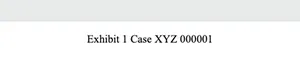 Der obere Rand einer Seite in der Vorschau mit dem Stempel „Beweisstück 1 Fall XYZ 000001“ in der Kopfzeile