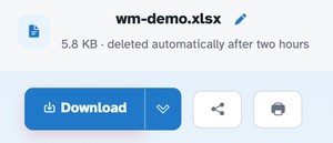 The ready page showing wm-demo.xlsx — 5.8 KB · deleted automatically after two hours — above the Download button