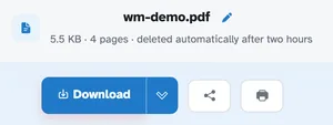 The ready page showing wm-demo.pdf — 5.5 KB · 4 pages · deleted automatically after 2 hours — above the Download