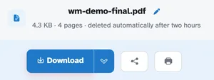 The ready page showing wm-demo-final.pdf — 4.3 KB · 4 pages · deleted automatically after 2 hours — above the