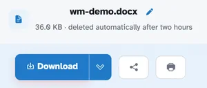 The ready page showing wm-demo.docx — 36.0 KB · deleted automatically after 2 hours — above the Download button