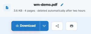 The ready page showing wm-demo.pdf — 3.6 KB · 4 pages · deleted automatically after 2 hours — above the Download